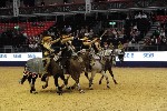 Quadrille - 00912